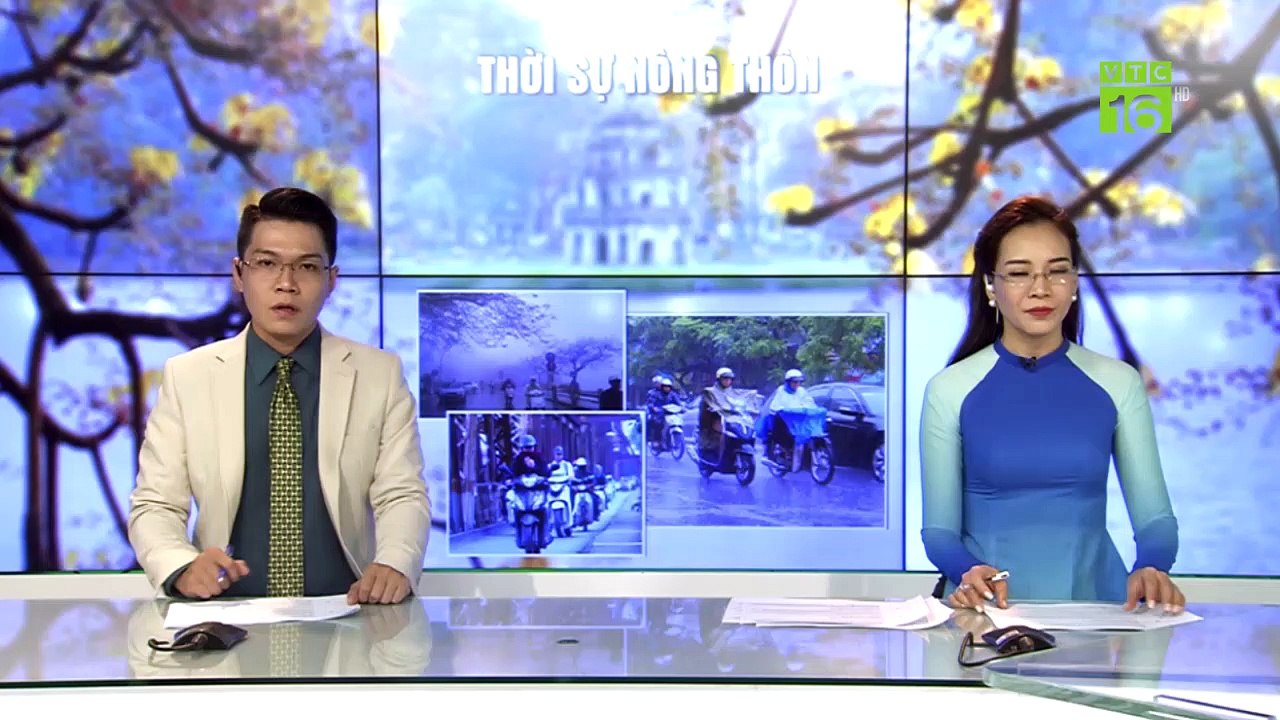 Cá linh khan hiếm, giá cao kỷ lục, gần nửa triệu đồng/kg | VTC16