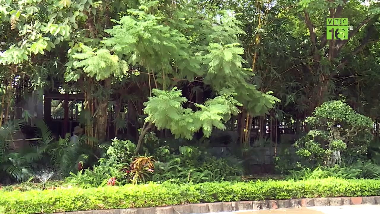 Căng mình chống dịch Covid-19, ngăn nhập cảnh vùng biên giới | VTC16