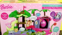 Barbie Love 'n Care Surprise Pets Park Playset Talking Barbie Doll with Slide Pool Swing Kinder Eggs
