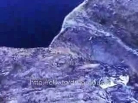 Awesome extreme sports - parachuting, base jumping