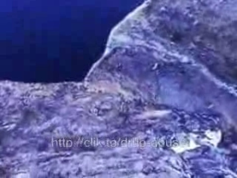 Awesome extreme sports - parachuting, base jumping