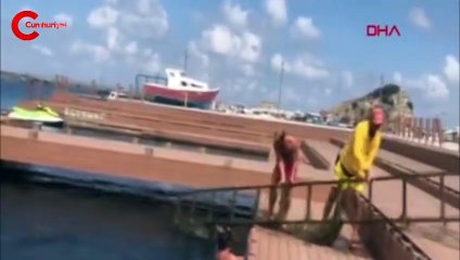 Şile'de denizden çıkanlar şaşkınlık yarattı