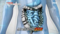 [HEALTHY] How to keep your intestines healthy, 생방송 오늘 저녁 20200910