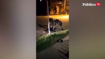 Muere un hombre por brutalidad policial en Bogotá