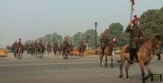 After Indian Army horses pass, the poo collectors get going!