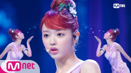 '최초 공개' 유아독존 '유아(오마이걸)'의 '숲의 아이(Bon voyage)' 무대
