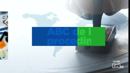 Así afecta el coronavirus a los animales domésticos