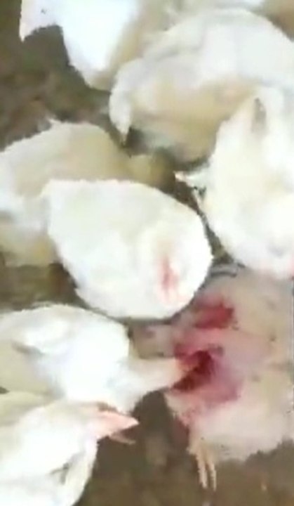 "2020'de daha ne olabilir" diyenleri hayrete düşürecek bir haber daha