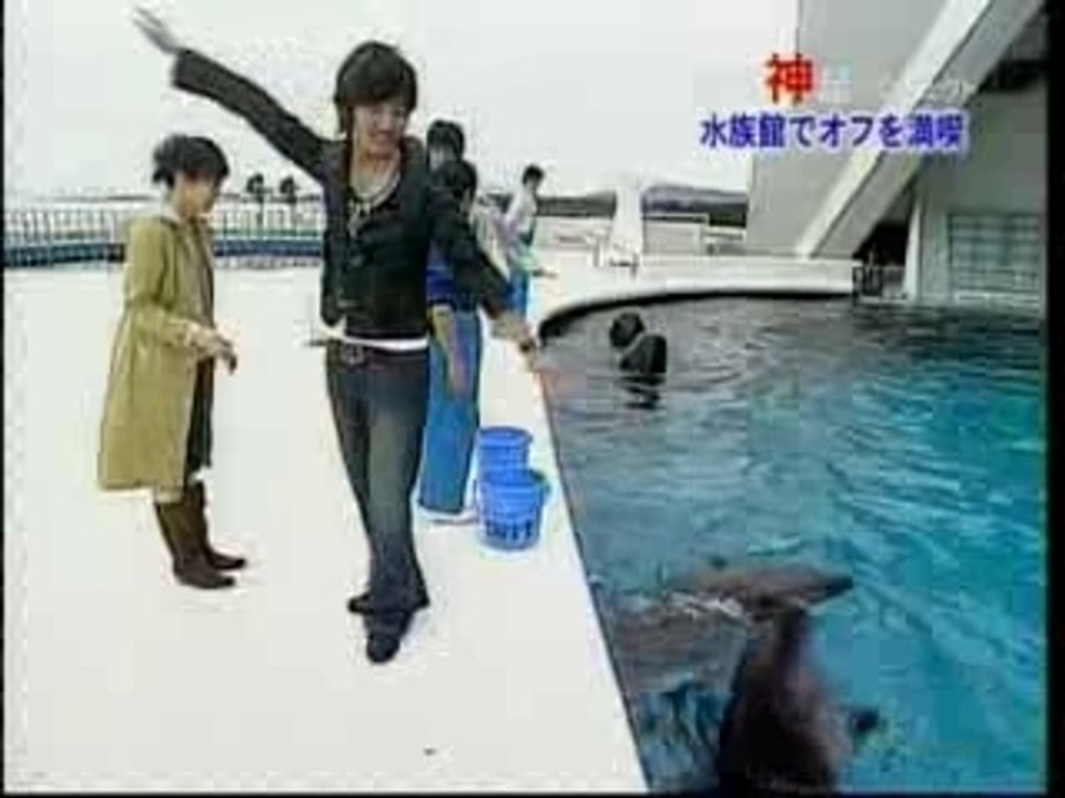 DBSK with Dolphins...
