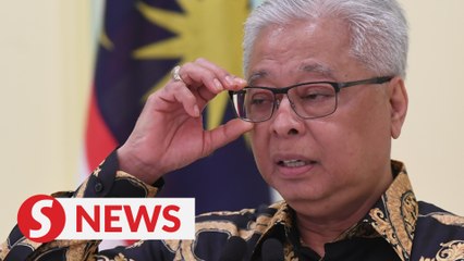 Entry ban relaxed on expats, professional visit pass-holders from 23 countries