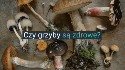 Czy grzyby są zdrowe?