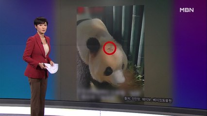 김주하의 9월 10일 '이 한 장의 사진'