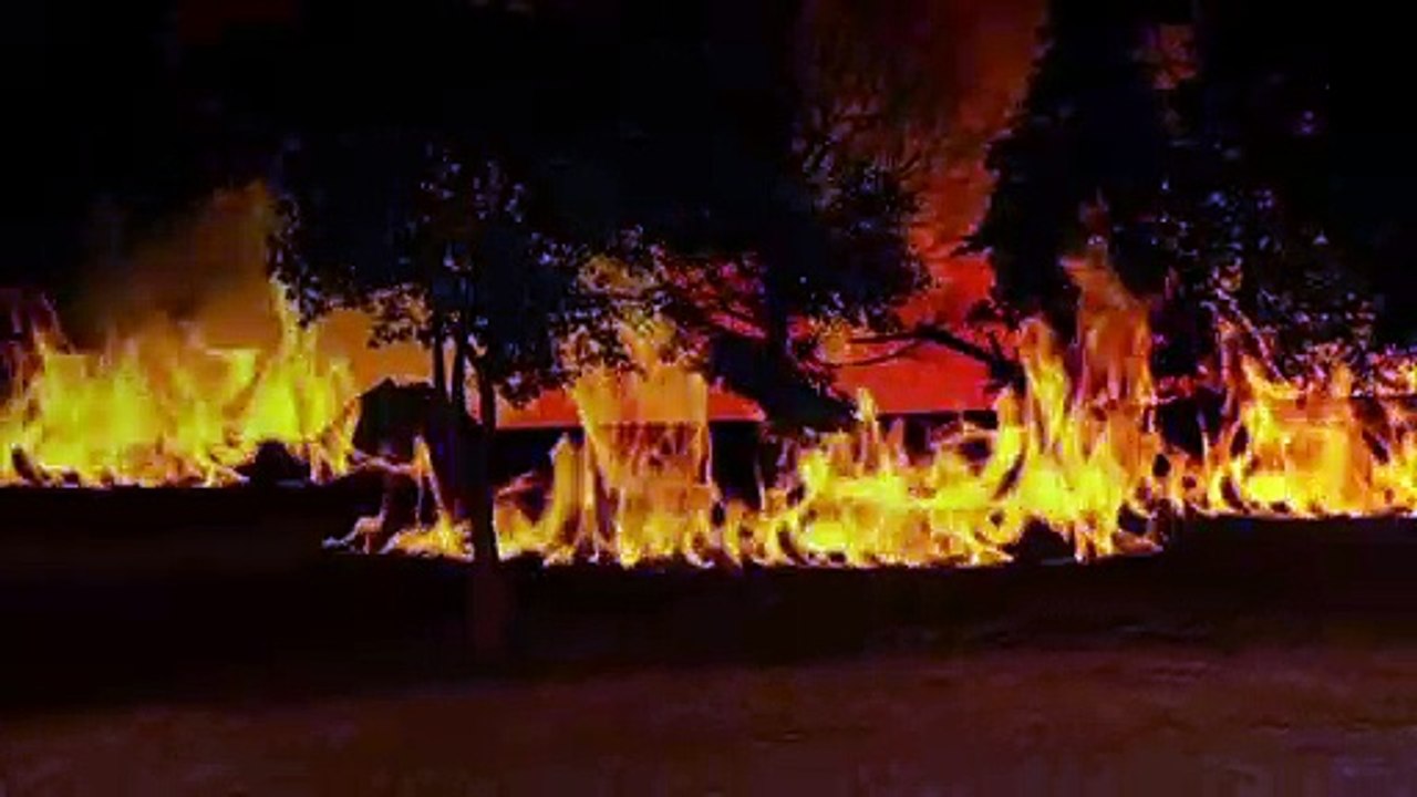 Videografik: So entstehen Waldbrände