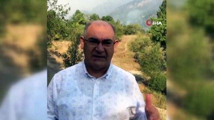 Adana'daki orman yangını vadiye hapsedildi