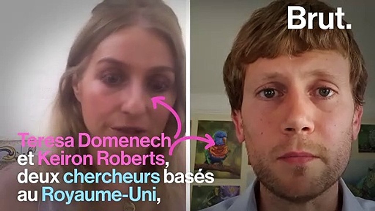 Comment utiliser les masques de manière plus éc...