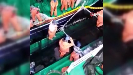 Zonguldak’ta palamut bolluğu