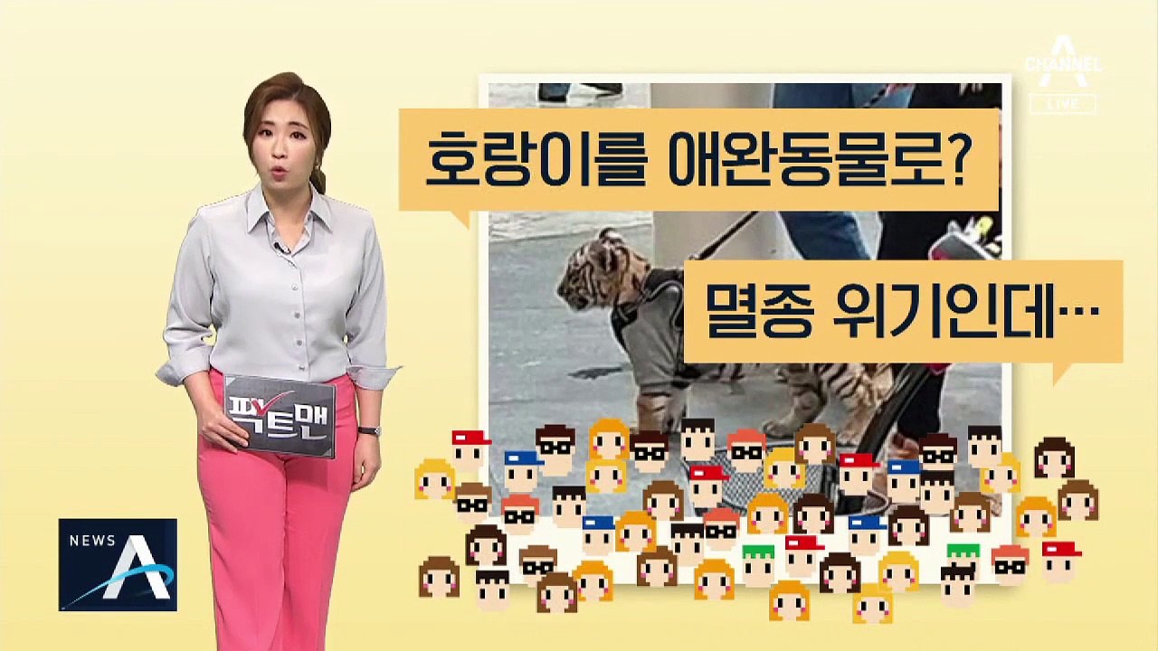 [팩트맨]키우면 처벌받는 고양이?…국제 협약 ‘CITES’ 보니