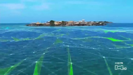 Emisión 11:00 p.m. / lunes 1 de junio de 2020