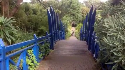 Tresco Abbey gardens