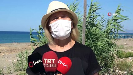 Alanya'da onlarca caretta caretta mavi sularla buluştu