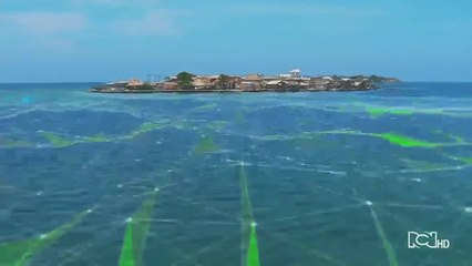 Emisión 12:30 p.m. / viernes 12 de junio de 2020