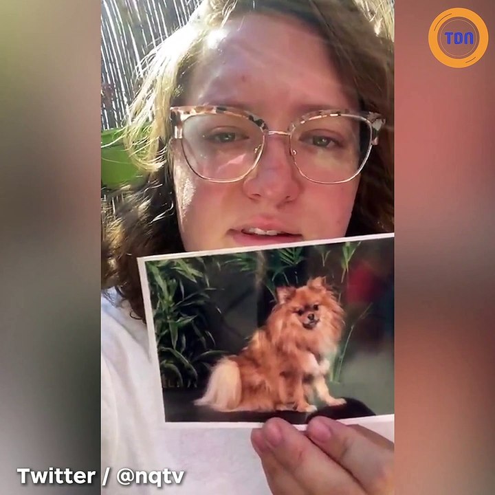 Après l’appel de Cyril Hanouna et de Rémi Gaillard, cette femme retrouve son chien volé !