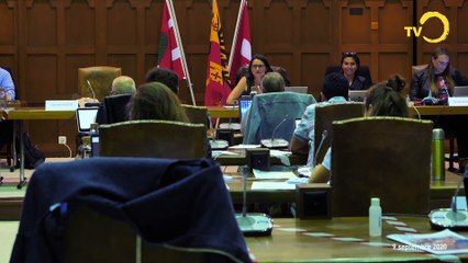 Sujet: Conseil municipal, zone à 30 KM/h