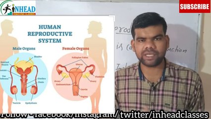 Human Reproduction part - 1 | NEET 2021 - 2022 |class 12 | INHEAD | ANAND ARYA