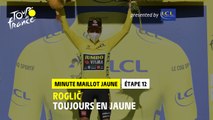 #TDF2020 - Étape 12 / Stage 12 - LCL Yellow Jersey Minute / Minute Maillot Jaune