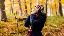 What Causes Fall Allergies?