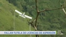 Suspenden trámites de licencias ambientales para aspersión de cultivos ilícitos en Nariño