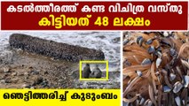 Rare sea creature worth 48 lakhs | Oneindia Malayalam