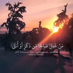 ياسر الدوسري  آيات قرآنية جميلة  أجمل حالات واتس اب دينية مقاطع دينية قصيرة مقاطع انستقرام دينية