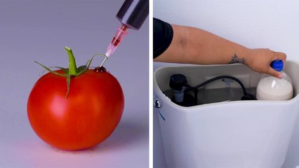 Do something GREEN today with these 12 eco-friendly tips!