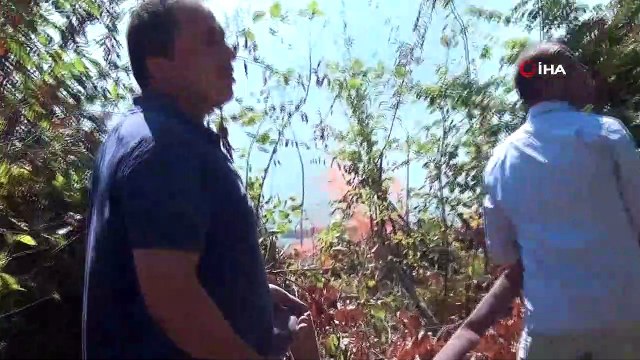 Sinop Erfelek’te orman yangını