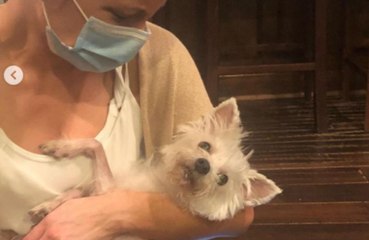 'She fought so hard': Kate Beckinsale 'heartbroken' after her dog dies