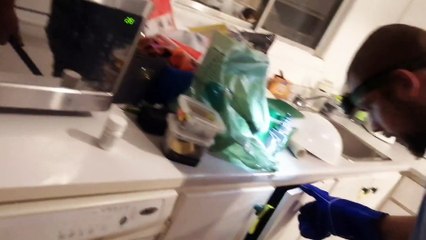 Infestation de rats