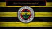 How Well Do You Know Fenerbahce? Fun Football Team Quiz