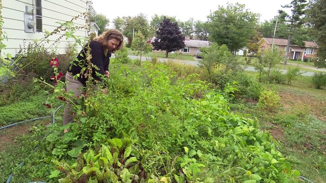 10 sept-topo, candidats vert