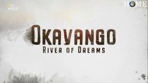 Okavango: River of Dreams Episode 3: Inferno - PBS NATURE HD