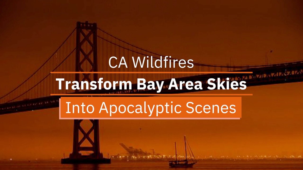 California Looks Insane Right Now