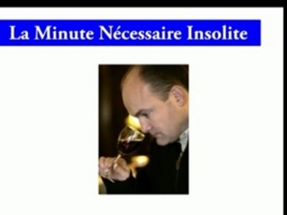 La Minute Nécessaire Insolite Decembre 2