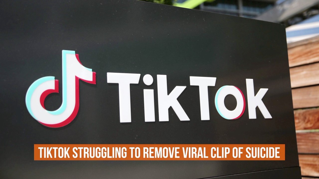 That One TikTok Vid