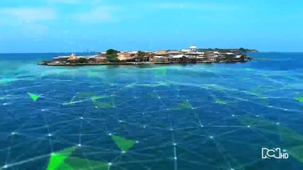 Emisión 5:30 a.m. / jueves 19 de marzo de 2020