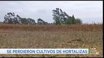 Nueva helada en Boyacá genera pérdidas en cultivos y ganadería