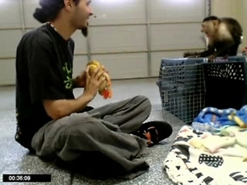 E-TARD & THE JUSTIN.TV MONKEY