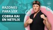 10 razones por las que debes ver Cobra Kai en Netflix | 10 reasons why you must to see Cobra Kai on Netflix
