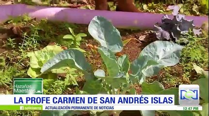 Hazañas Maestras: la profesora Carmen con su creatividad a toda prueba suple la falta de recursos