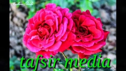 _Virtues_of_Surah_Al-Jinn সূরা_জ্বীনের_ফযীলত