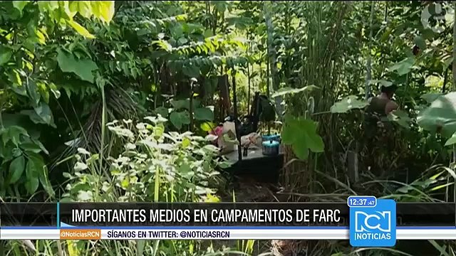 Así son las jornadas pedagógicas de las Farc, según reportajes de medios internacionales